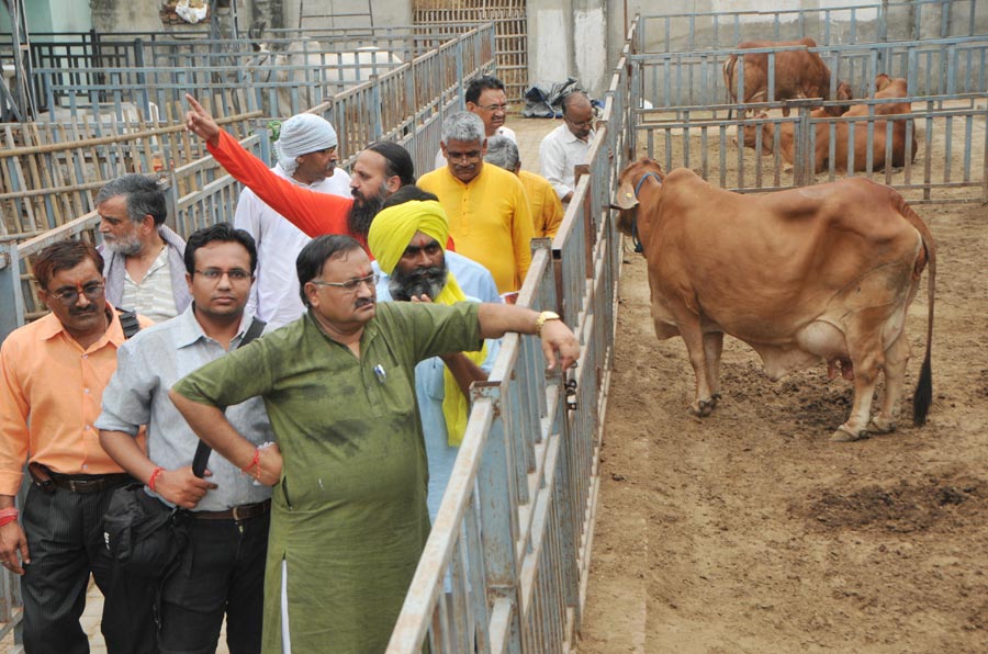 Case study of organic farming in sikkim picture