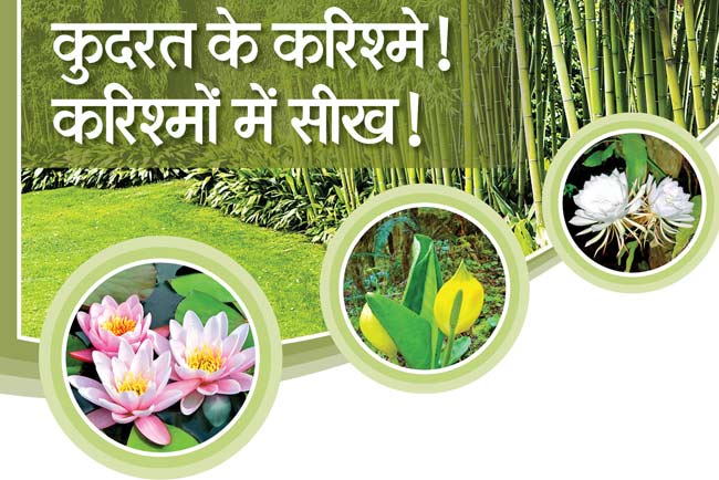 Akhand Gyan