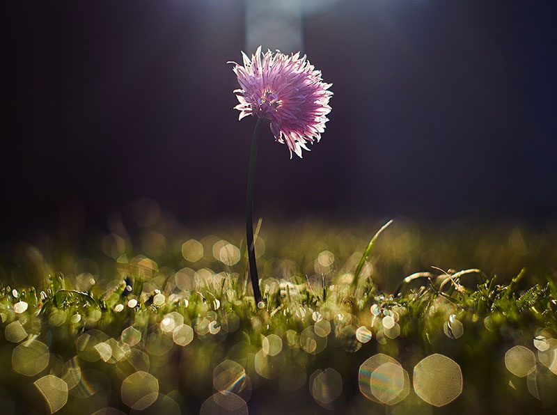 Nature and its Devastating Dance!