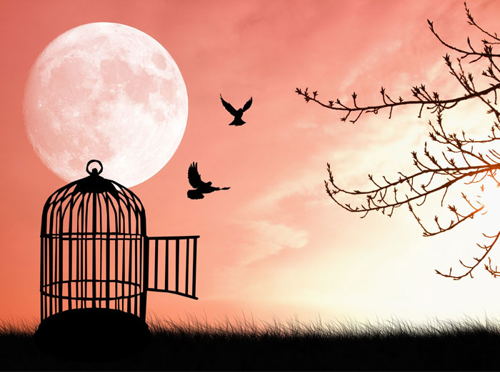 How to be free from the delusive world!