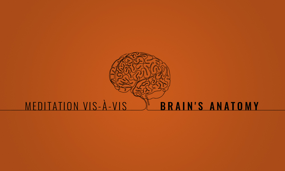 Meditation vis-à-vis Brain's Anatomy