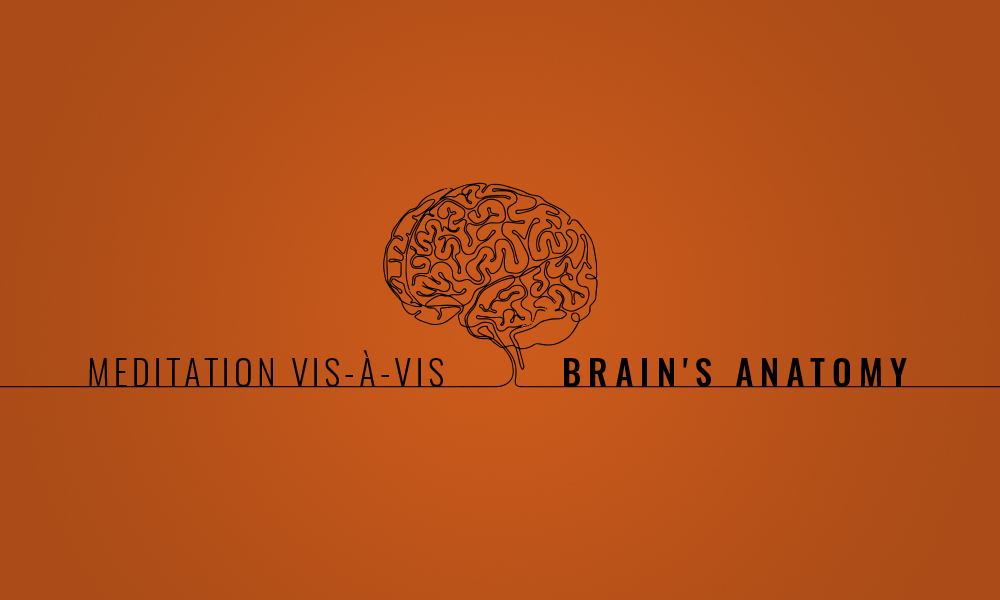 Meditation vis-à-vis Brain's Anatomy