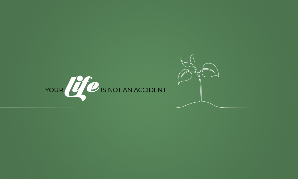 Your Life Is Not An Accident djjs blog