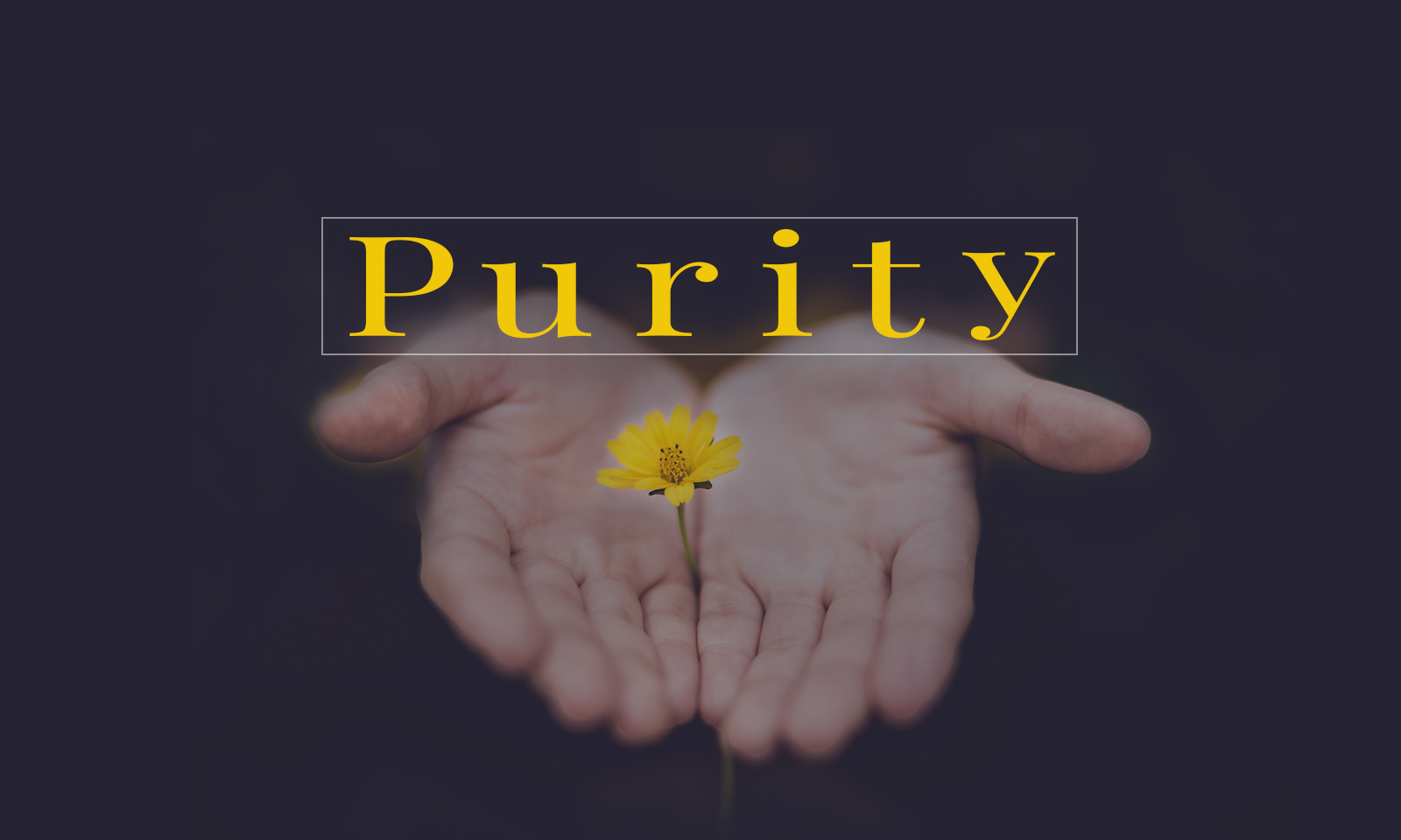 Purity