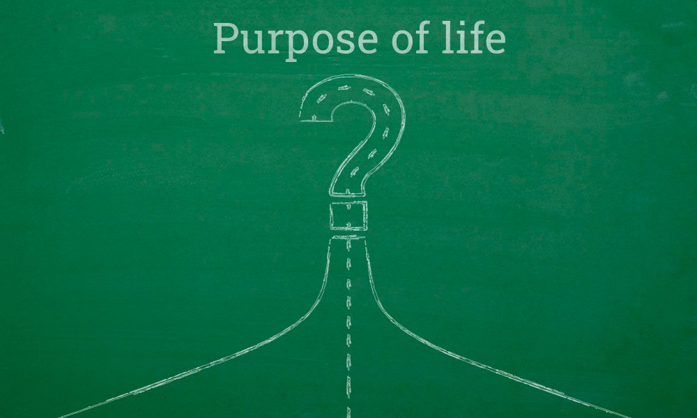 Purpose of Life djjs blog