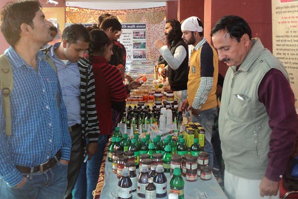 Gita Jayanti in Kurukshetra