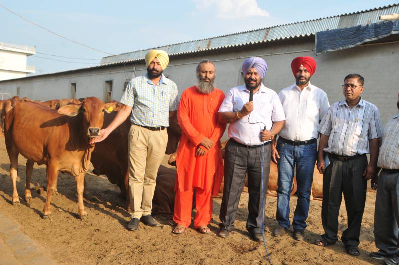 Director, Dairy Development Board, Chandigarh, visited Kamdhenu Gaushala