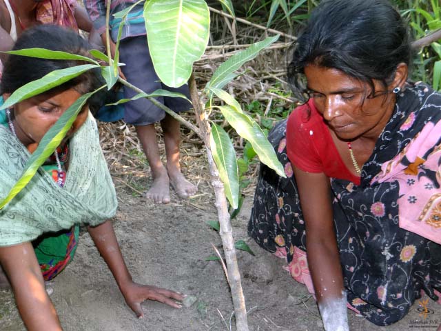 Village Improvement Project: Phase 1 continues in Bihar