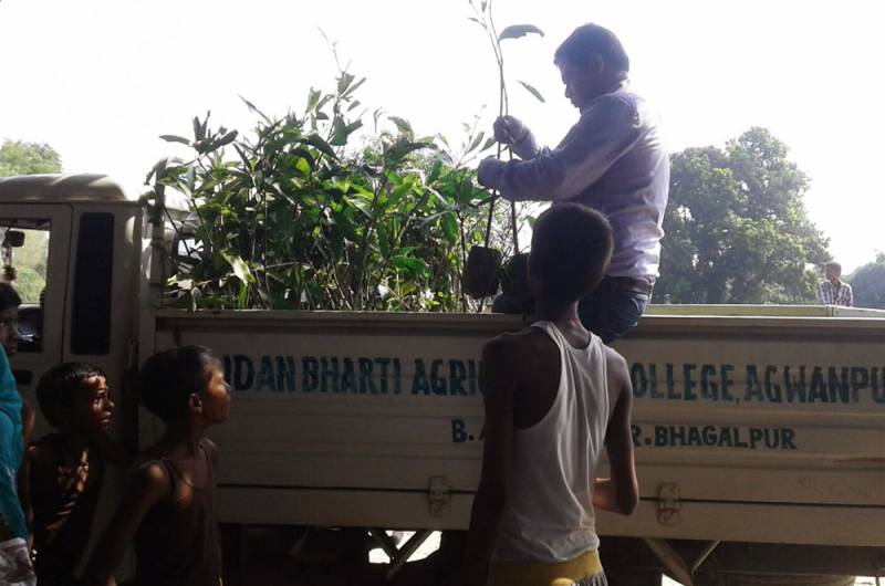 Guava and Mango saplings distribution in village 17th October, 2015