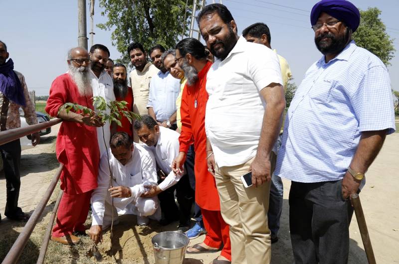 Hon'ble MOS Mr. Vijay Sampla makes a green mark at ongoing DJJS tree plantation spree in and around Nurmahal, Punjab