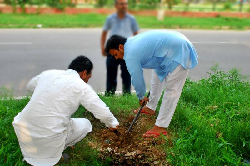 MEMR Chandigarh Chapter engaged Public Associations in a special Tree Plantation Spree on Van Mahotsav 2016